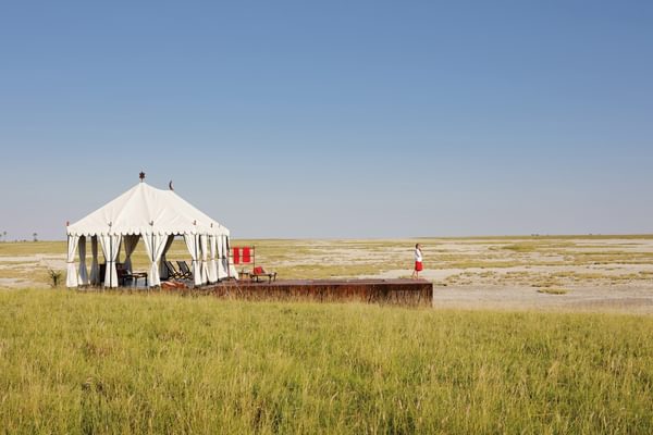 11 San Camp Swimming pool tent Botswana Natural Selection