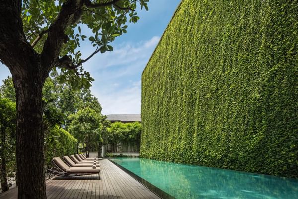 137 Pillar house Hotel swimmingpool Chiang Mai Thailand