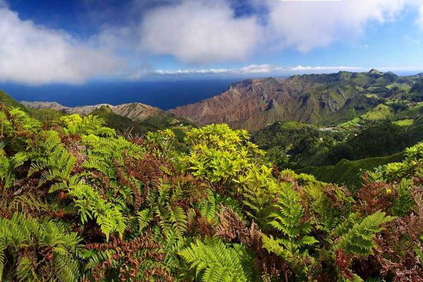 A post box walk on St Helena