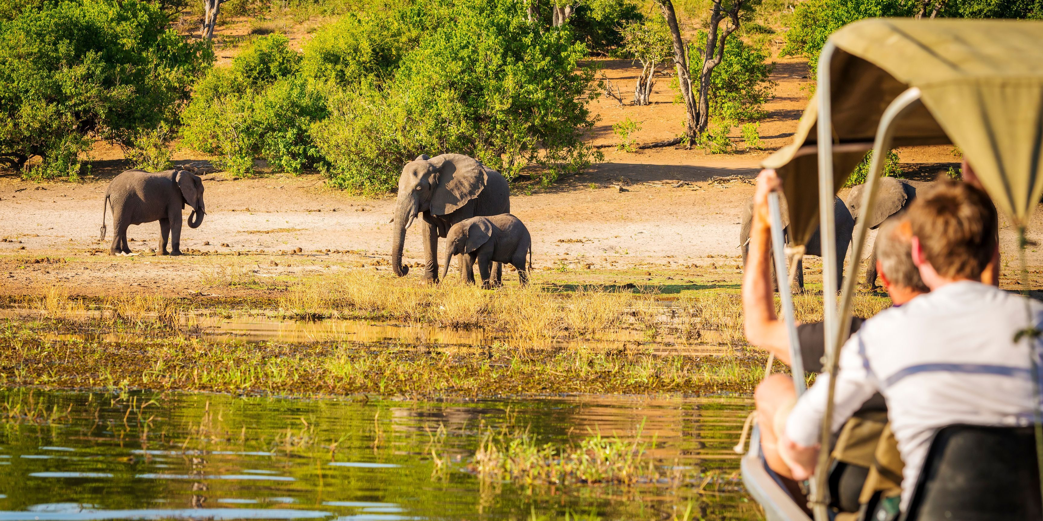 Africa Safari Special Offers Africa Canva