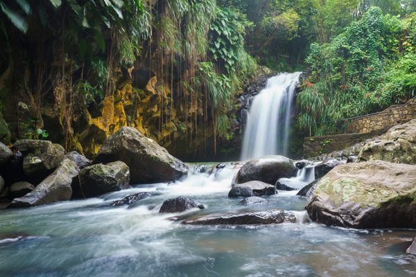 Annandale Waterfall in Grenada by Dietmar Denger