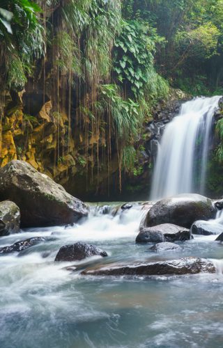 Annandale Waterfall in Grenada by Dietmar Denger
