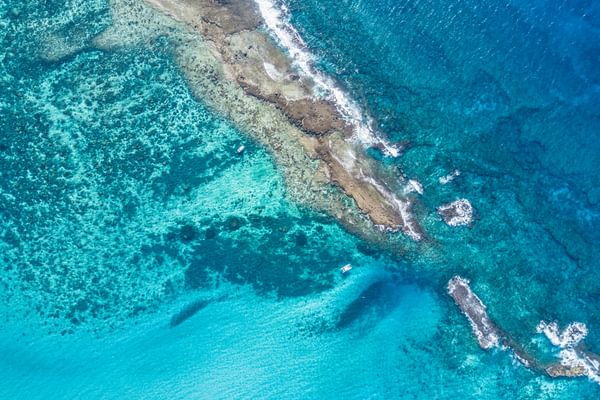 Azura Benguerra Two Mile Reef