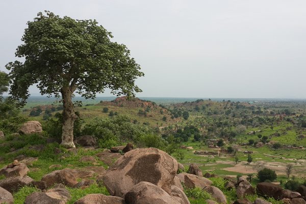 Bandhavgarh India Canva