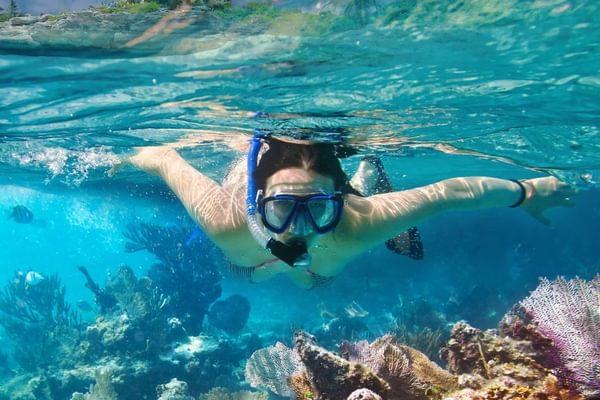 Barbados snorkelling Caribbean