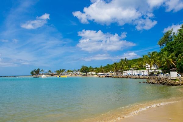 Beach St Lucia Pitos Caribbean