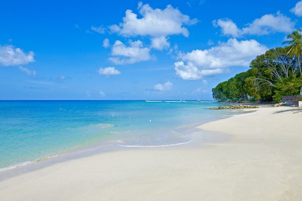 Beach The Sandpiper Barbados Caribbean Hummingbird DMC