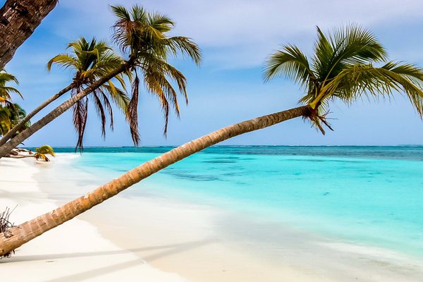Beach Caribbean Special Offers Canva
