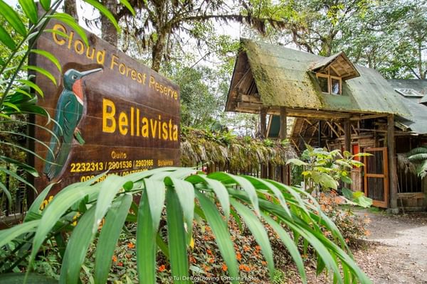 Bellavista Lodge TDR 31 Aug14 1727
