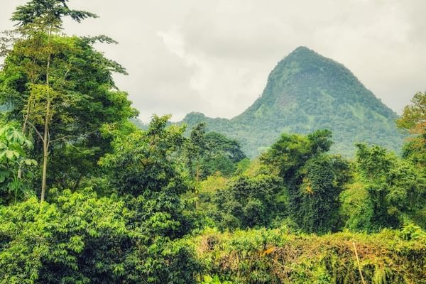 Biosphere reserve Sao Tome and Principe