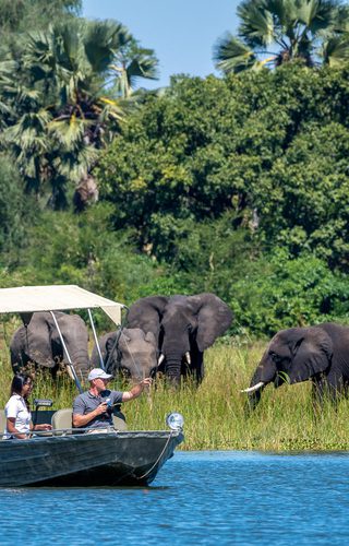 Boat Safaris