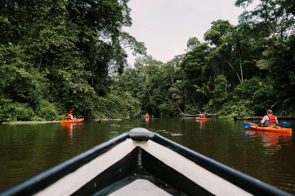 Boats Mawamba Lodge Tortuguero Costa Rica
