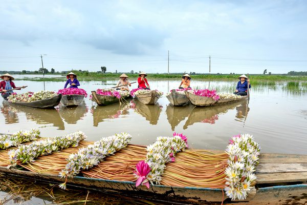 Boats with flowers on the mekong delta Vietnam pexels