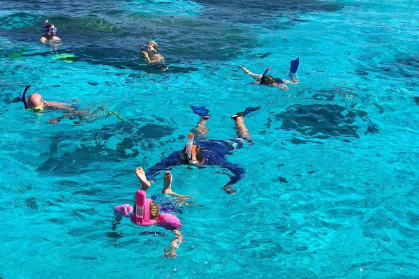 BOB Authentic Shark Lagoon Safari 31 Bora Bora