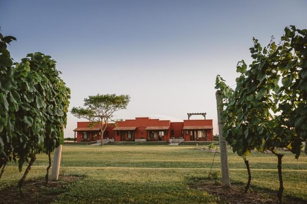 Bodega el Legado
