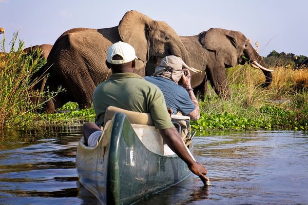 Canoe Safari Mana Pools