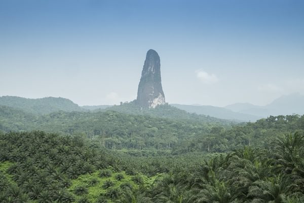Cao Grande In Sao Tome Copy