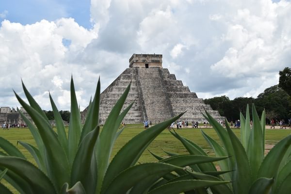 Chichen itza pyramid mexico plants