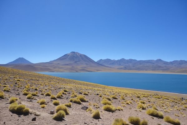 Chile Laguna Miscanti Pixabay