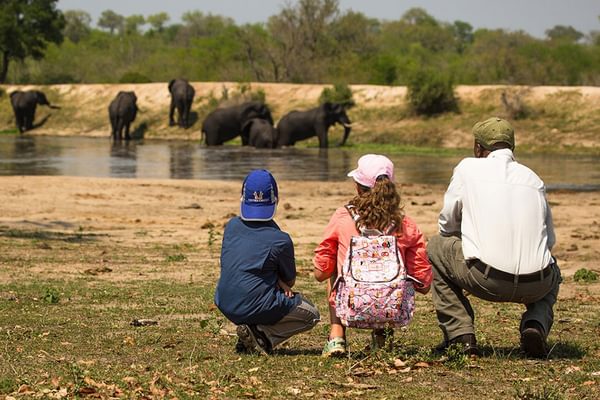 Chitwa Chitwa Family Safari