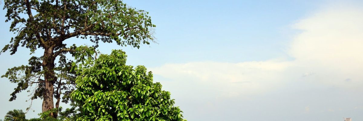 Congo River Brazzaville Canva Pro