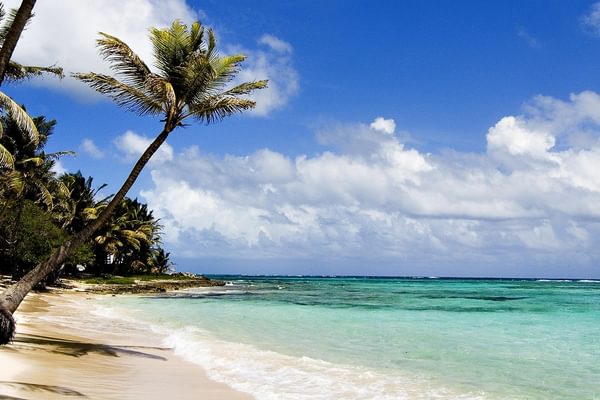 Diani Beach