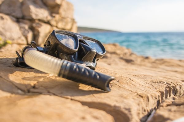 Diving Canva Pro