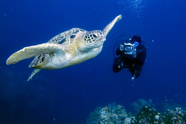 Diving