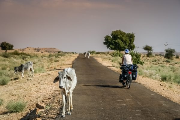 Easy Cycling In Rajasthan
