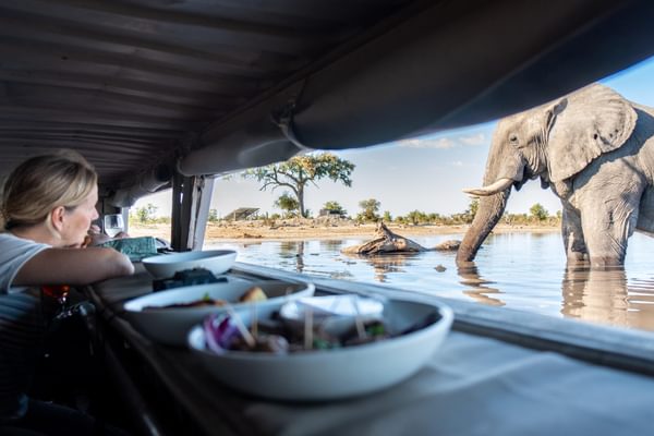 Elephant Pan Sunken Hide Botswana