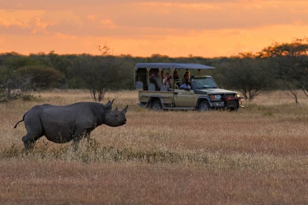 Etosha game drive 2