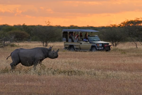Etosha Heights Sunset game drive 2