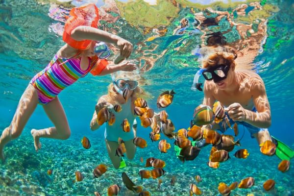 Family Snorkelling In The Maldvies