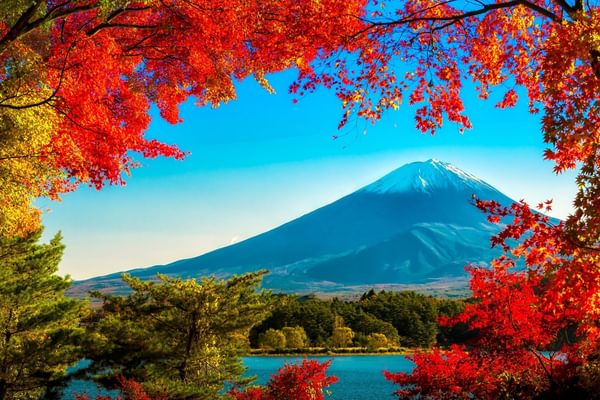 Fuji san autumn leaves framing Mt Fuji Japan no white border