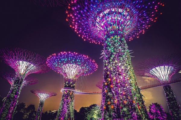 Gardens by the Bay at night Singapore