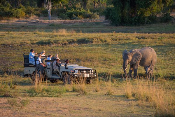 Gbp rps luangwa 2017 10841