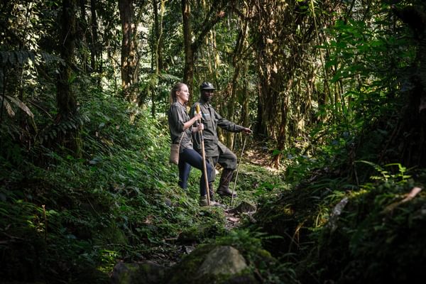 Gorilla Forest Tracking Uganda