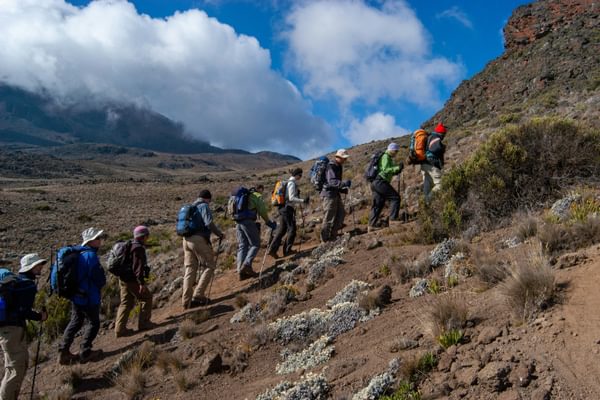 Hikers on the trail up Kilimanjaro Tanzania