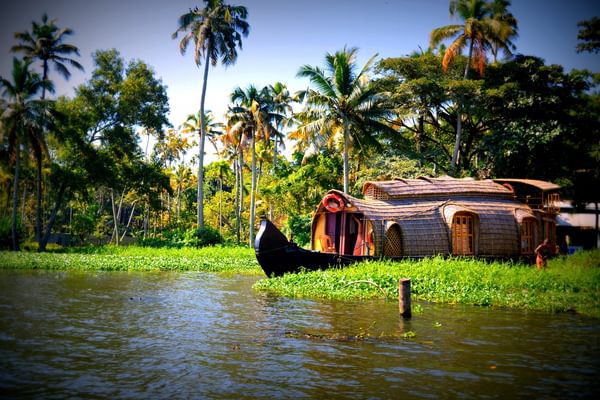 Houseboat Through The Reeds In Kerala