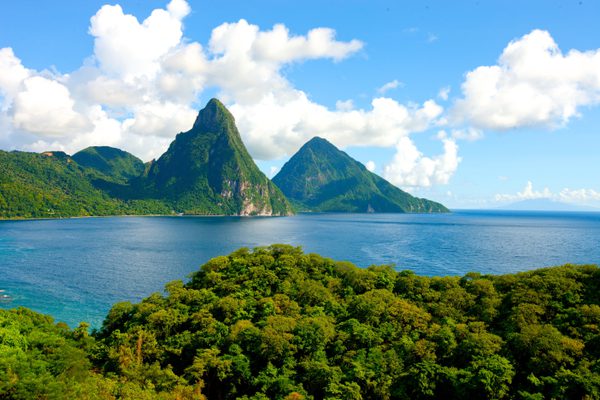 Jade Mountain Saint Lucia Humming bird