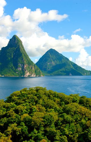 Jade Mountain Saint Lucia Humming bird