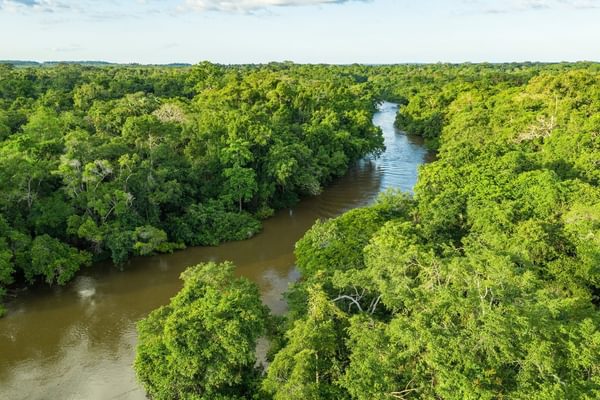 Jungle river in the congo basin Canva Pro Congo