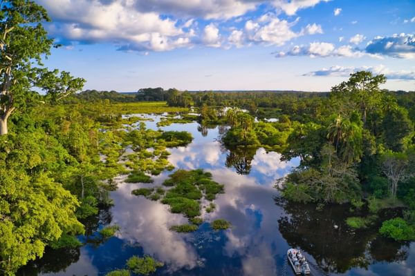 Jungle river in the Congo Basin Congo Canva Pro