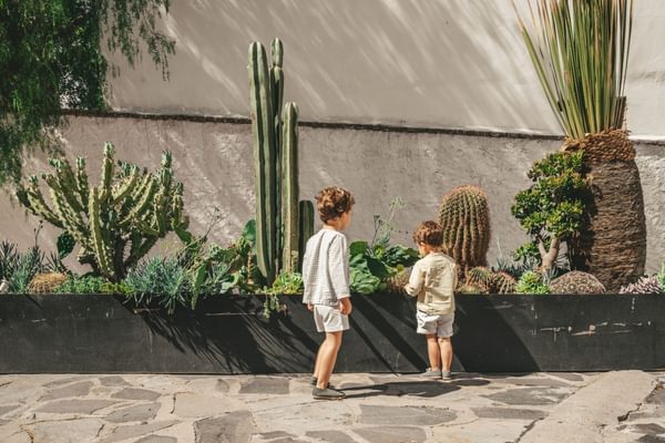 Kids playing around Cacti Mexico