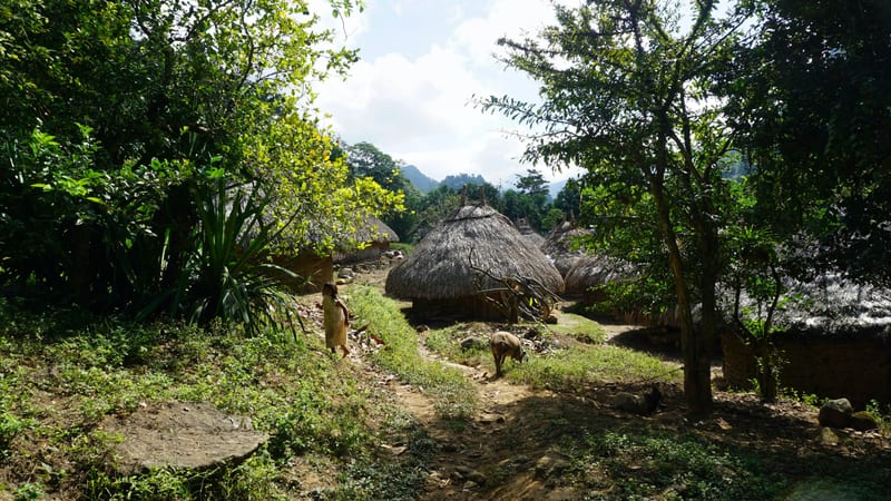 Kogi Huts on the Lost City trek Sierra Nevada Colombia min