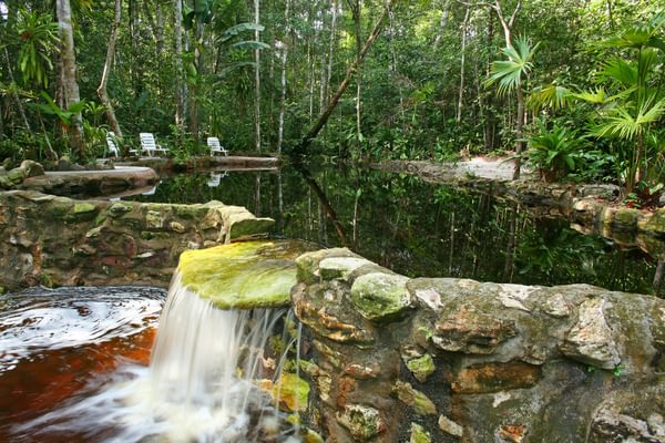 Lagoon Amazon Ecopark Lodge Brazil
