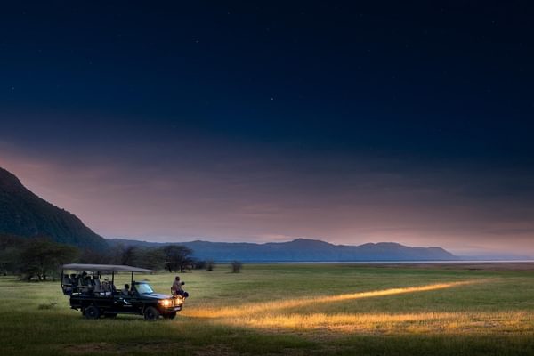 Lake Manyara Night Drive