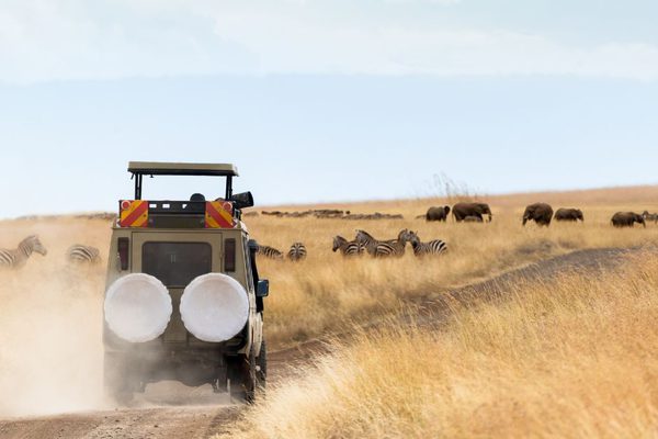 Land Rover driving safari Serengeti Africa Canva jpg