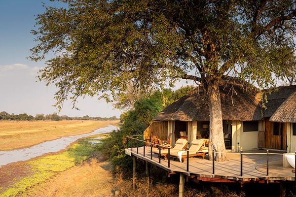 Lion Camp Deluxe suite number 1