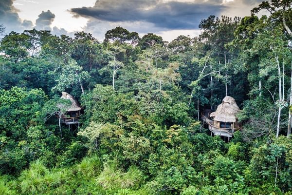 Lodge from above Lango lodge Odzalla Watu 4